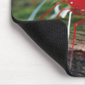 Tapis De Souris Les crevettes d'abeilles rouges (Coin)