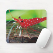 Tapis De Souris Les crevettes d'abeilles rouges (Avec souris)