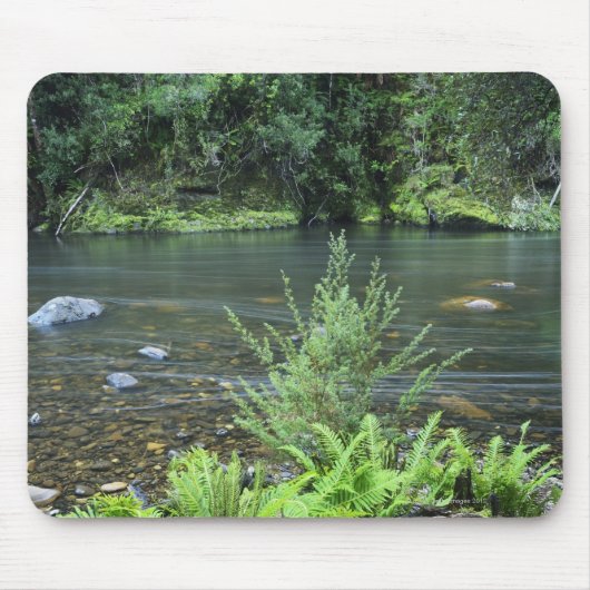 Tapis De Souris Les écoulements de rivière de Hellyer paisiblement (Devant)