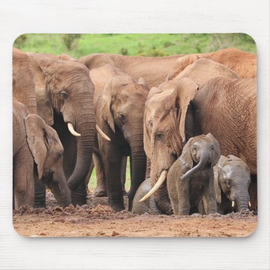 Tapis De Souris les éléphants sont mignons (Devant)