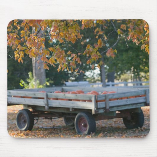 Tapis De Souris Les Etats-Unis, IOWA, le comté de Madison, (Devant)