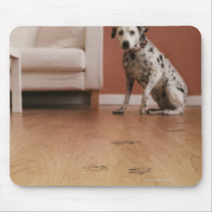 Tapis De Souris Les Etats-Unis, l'Illinois, Metamora, plan