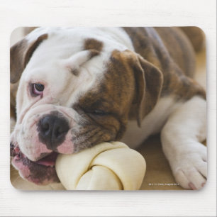 Tapis De Souris Les Etats-Unis, New Jersey, Jersey City, chiot