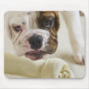 Tapis De Souris Les Etats-Unis, New Jersey, Jersey City, chiot