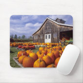 Tapis De Souris Les Etats-Unis, Vermont, Shelbourne, citrouilles (Avec souris)