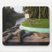 Tapis De Souris Les intrus Seront Mangés ! Souris (Devant)