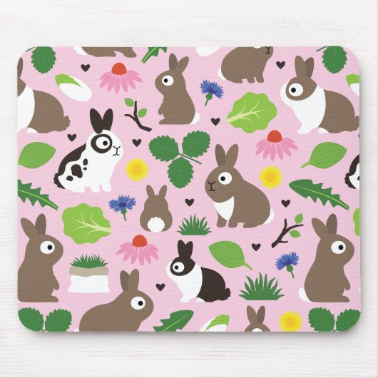 Tapis De Souris Les lapins Et Leurs Traitements (Devant)