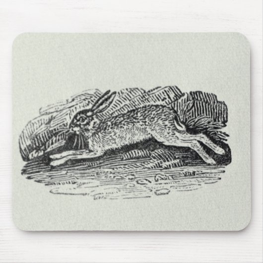 Tapis De Souris Les lièvres (Devant)