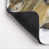 Tapis De Souris Les loups dans le bois de Bawarian (Coin)