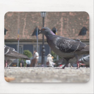 Tapis De Souris Les pigeons ambulants