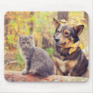 Tapis De Souris Les potes d'automne : Gray Kitten et Happy Puppy