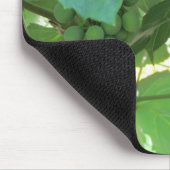 Tapis De Souris Les raisins sur les vignes (Coin)
