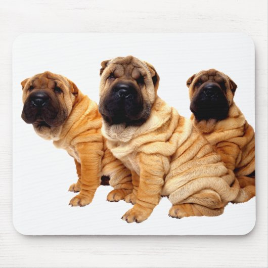 Tapis De Souris Les rides sont beau Mousepad (Devant)