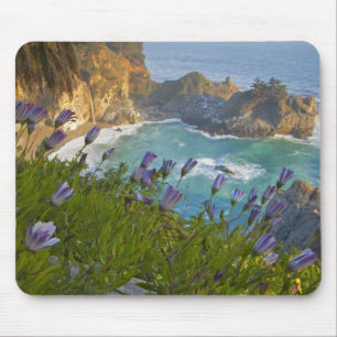Tapis De Souris Les Scenic McWay Falls se jettent sur la plage et