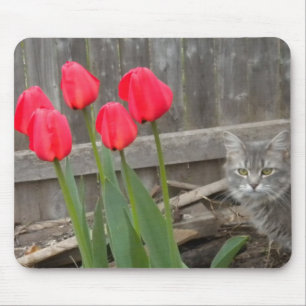 Tapis De Souris Les tulipes et le chaton