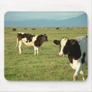 Tapis De Souris les vaches ont obtenu le fromage