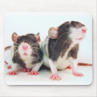 Tapis De Souris Les vraies femmes possèdent des rats !