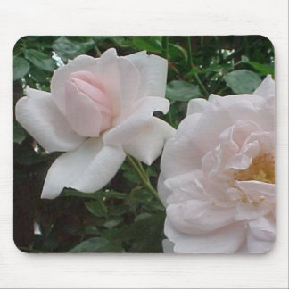 Tapis De Souris L'escalade rose s'est levée
