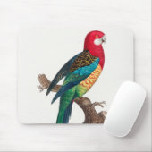 Tapis De Souris L'Est Rosella, Platycercus eximius Parrots (Avec souris)