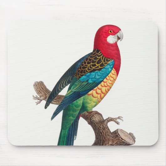 Tapis De Souris L'Est Rosella, Platycercus eximius Parrots (Devant)