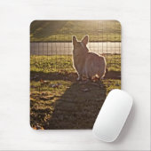 Tapis De Souris Lever de soleil de corgi (Avec souris)