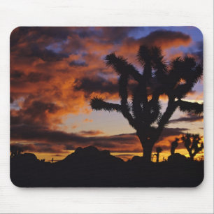 Tapis De Souris Lever de soleil spectaculaire à Joshua Tree Nation