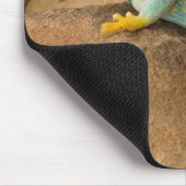 Tapis De Souris Lézard à collerette (Coin)