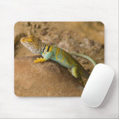 Tapis De Souris Lézard à collerette (Avec souris)