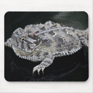 Tapis De Souris Lézard à cornes du Texas - reptile d'état du Te