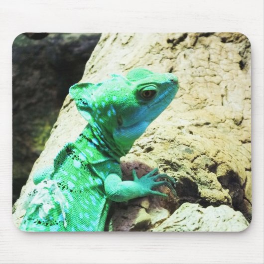Tapis De Souris Lézard de basilic vert (Devant)