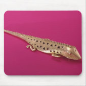 Tapis De Souris Lézard, de Colombie (Devant)