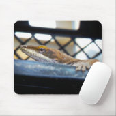 Tapis De Souris Lézard d'oignons vertes du soleil (Avec souris)