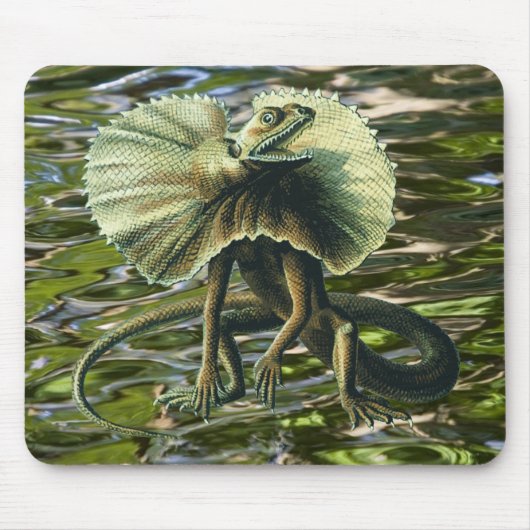 Tapis De Souris Lézard Mousepad de Jésus (Devant)