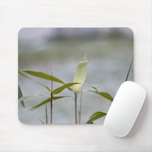 Tapis De Souris l'hiver arrive (Avec souris)