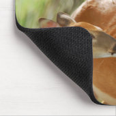 Tapis De Souris Liaison de mâle et de faon de Whitetail (Coin)