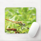 Tapis De Souris Libellule (Avec souris)