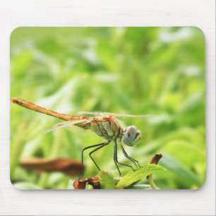 Tapis De Souris Libellule