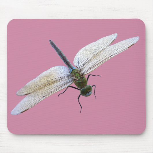 Tapis De Souris libellule (Devant)