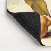 Tapis De Souris Libellule Botanique Nature Faune Hoefnagel Art (Coin)