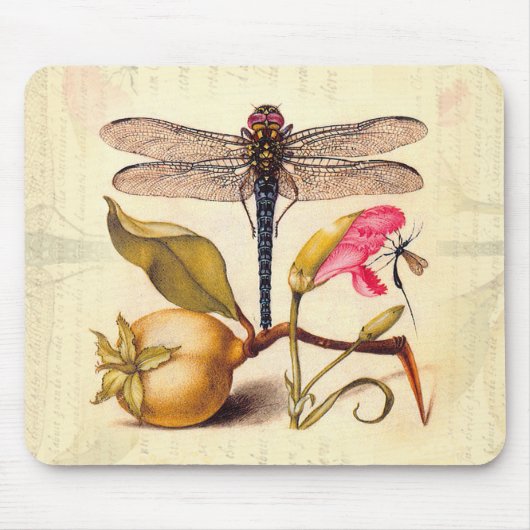 Tapis De Souris Libellule Botanique Nature Faune Hoefnagel Art (Devant)