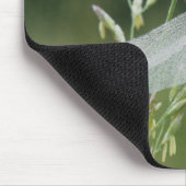 Tapis De Souris Libellule Darner couverte de rosée (Coin)