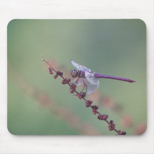 Tapis De Souris libellule de pelle de rose (Devant)