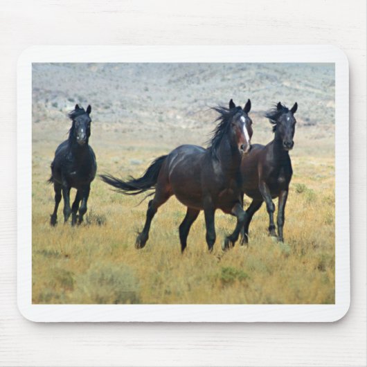 Tapis De Souris Libre de fantaisie (Devant)