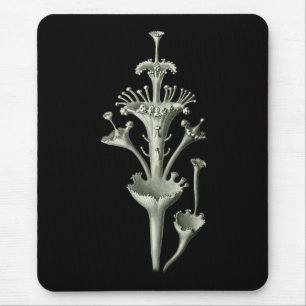Tapis De Souris Lichen de tasse