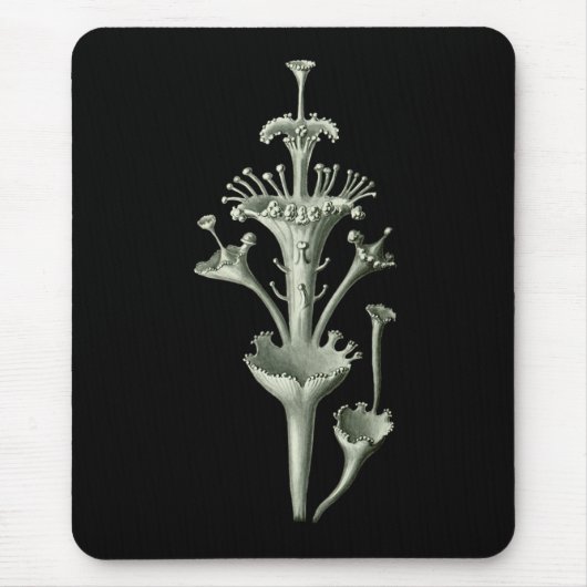 Tapis De Souris Lichen de tasse (Devant)