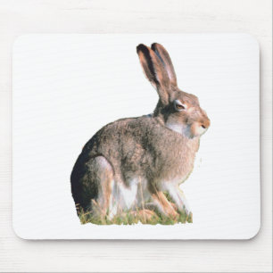 Tapis De Souris Lièvres