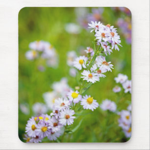 Tapis De Souris Ligne Beauté Mousepad