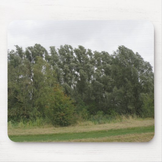 Tapis De Souris Ligne d'arbres penchés Paysage Mousepad (Devant)