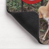 Tapis De Souris L'ignorance est néfaste (Coin)