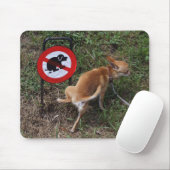 Tapis De Souris L'ignorance est néfaste (Avec souris)